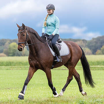 Reiten 360x360